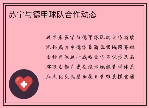 苏宁与德甲球队合作动态
